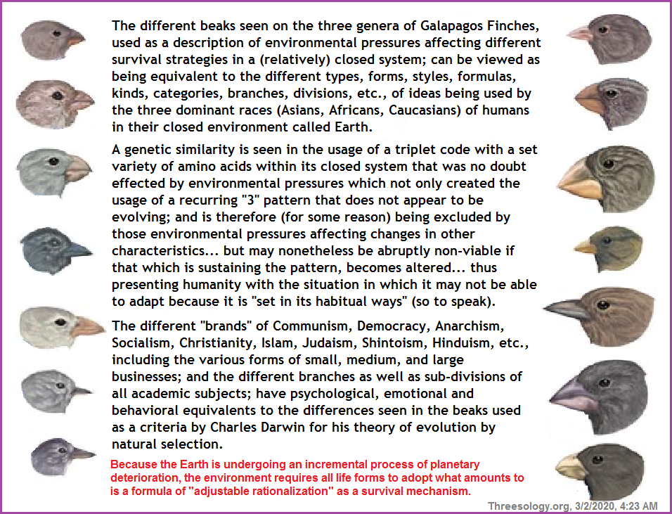 The different beaks of the Galapagos Finches