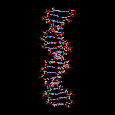 Rotating DNA (147K)