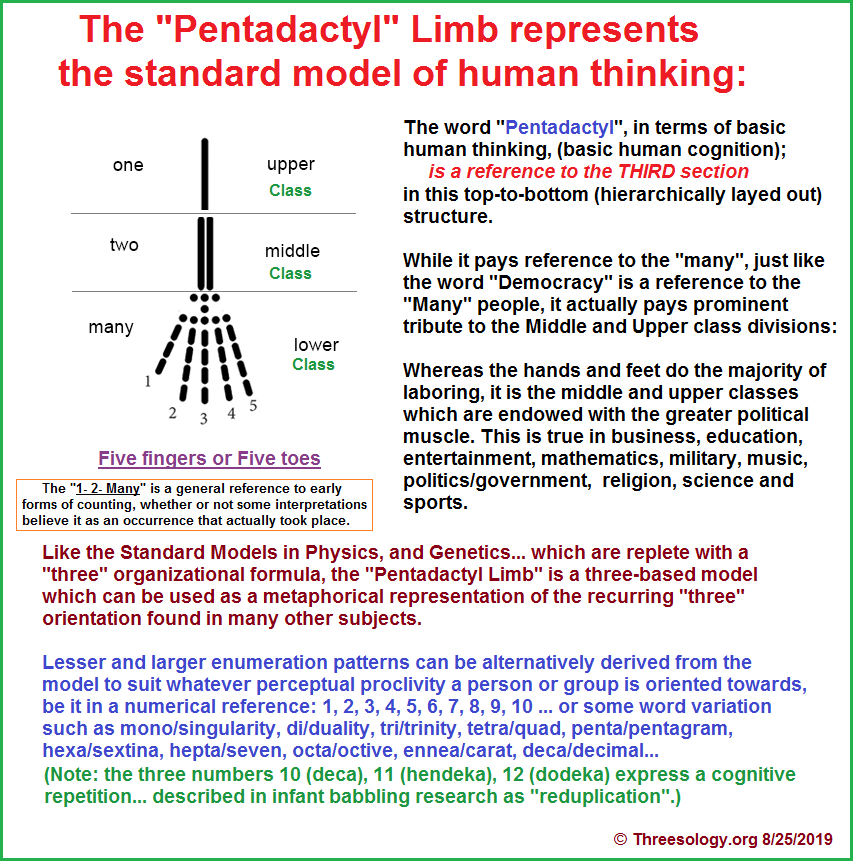 Pentadactyl limb as an analogy ot a standard cognitive model