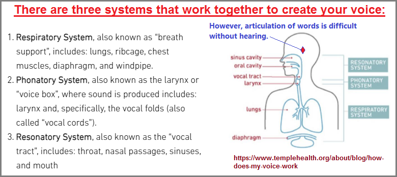 3 voice systems (112K)