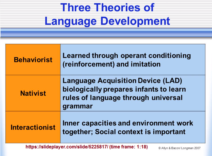 3 language development theories