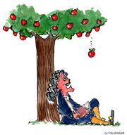 Newton's apple (8K)