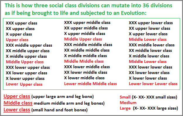 Social class division Multiplicity (23K)