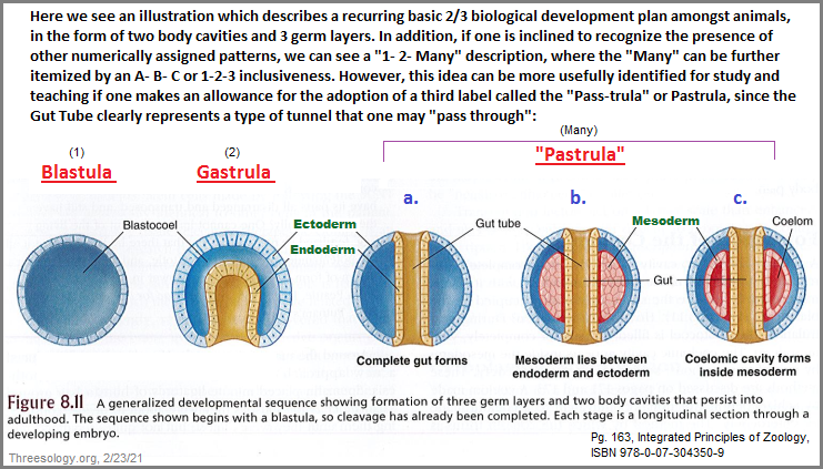 The Blastrula, Gastrula and proposed Pastrula divisions of biology (287K)