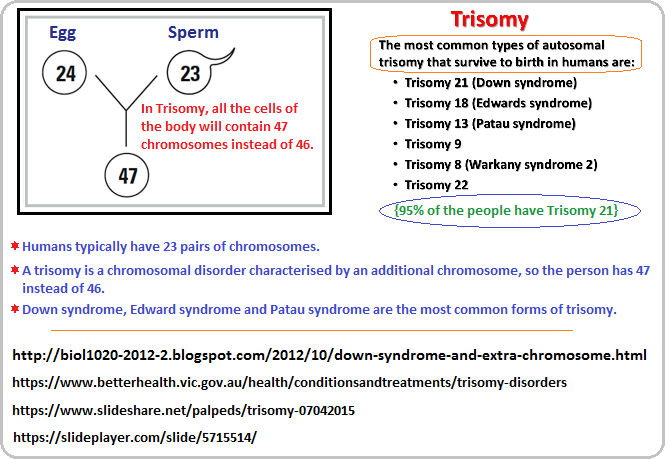 47 chromosomes and Trisomy