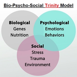Bio-Psycho-Social Trinity model
