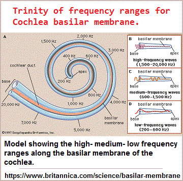 Trinity of hearing frequency ranges