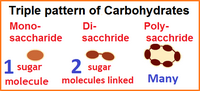 Trinity of Carbohydrates