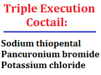 Trinity of chemicals used for Execution