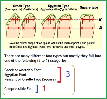 feet types image 2 (67K)