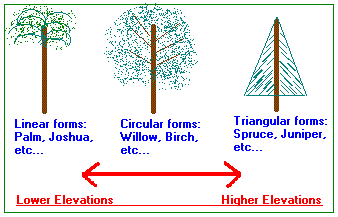 Linear, Circular, Triangular tree forms