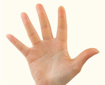 Flesh layered human hand