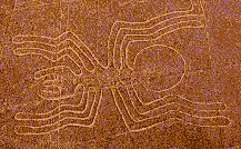 Nazca geoglyph spider