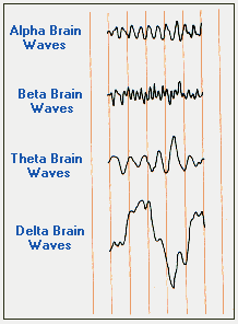 abtd brain waves