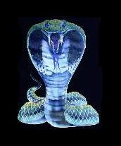 The cobra reptilian snake.