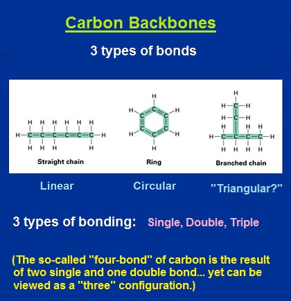 3 backbones of carbon