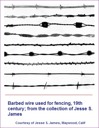 Examples of barbed wire for different entanglements