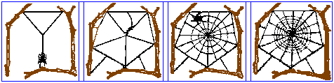 One type of spider web