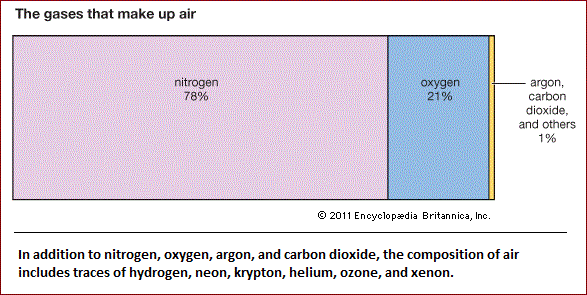 The gases that make up the air