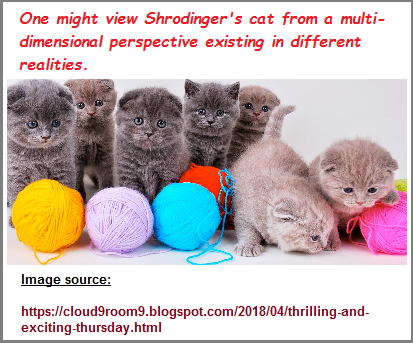 A supposition on the dimensionality of Shrodginger's cat and string theory