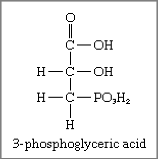 Immediate product compound of photosynthesis