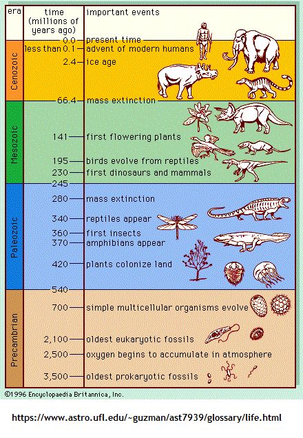 A simplified timeline