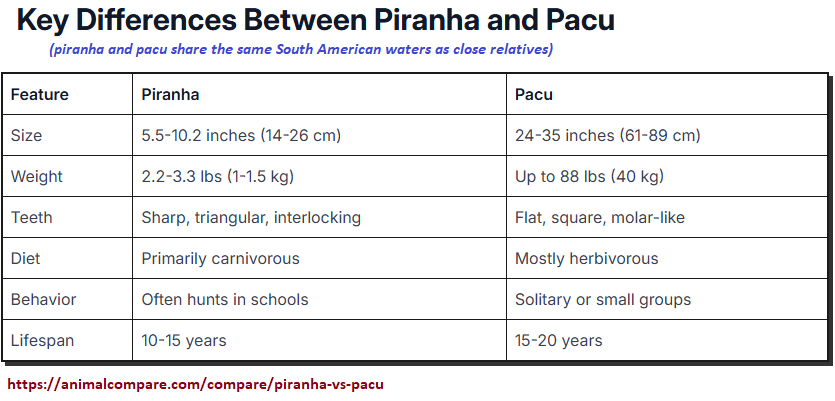 Compairing Piranha and Pacu