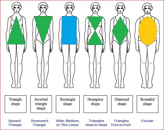 Body shape chart 1