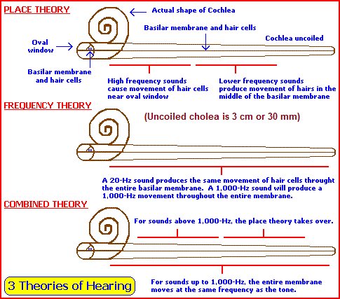 Three theories of hearing