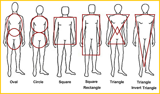 Male body shape
