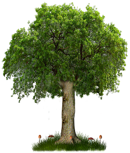 Tree with foliage and mushroom stems