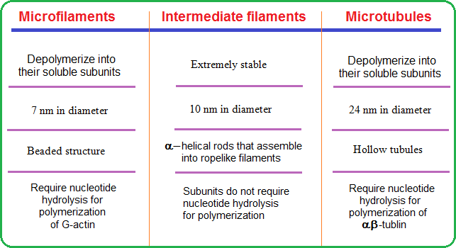 Table 1 of Cytoskeletal elements