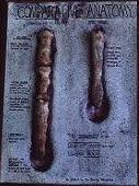 bigfoot penis