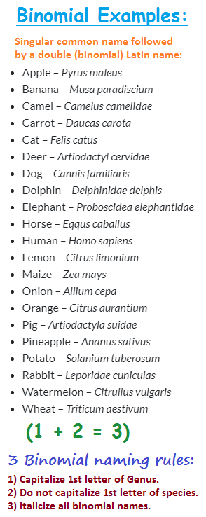 Binomial classification system