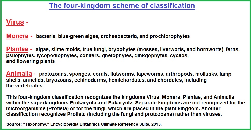 4 Kingdom classification system (197K)