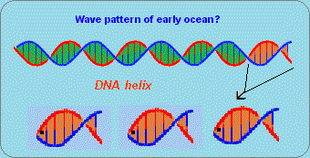 DNA as an ocean wave (16K)