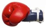 Boxing glove (6K)