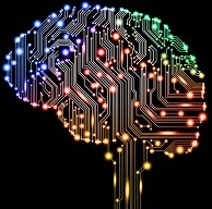 google brain (22K)