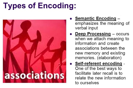 Three types of memory encoding