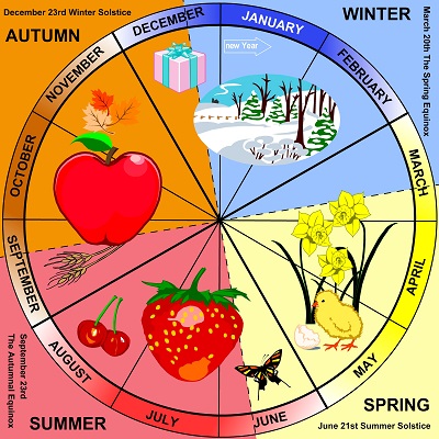 The seasons portrayed in a circle