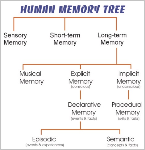 Memory tree with examples