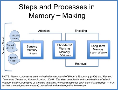 Steps and Processes in memory making