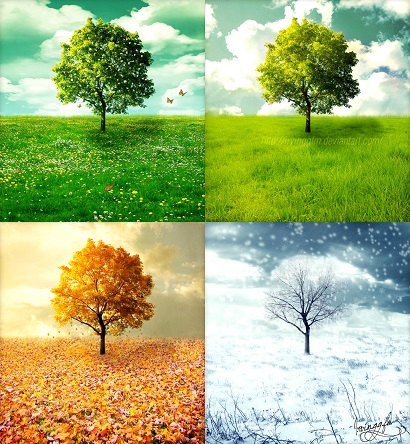 Seasons set into a square configuration