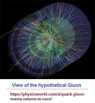 A view of the supposed gluon connectivity