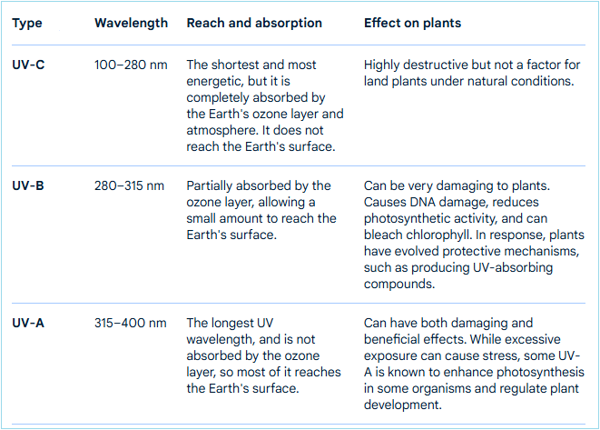 3 UV types and their effects 3 types of Ultra Violet radiation