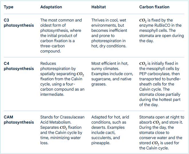 Photosynthesis and its 3 distributions 3 types of Photosynthesis
