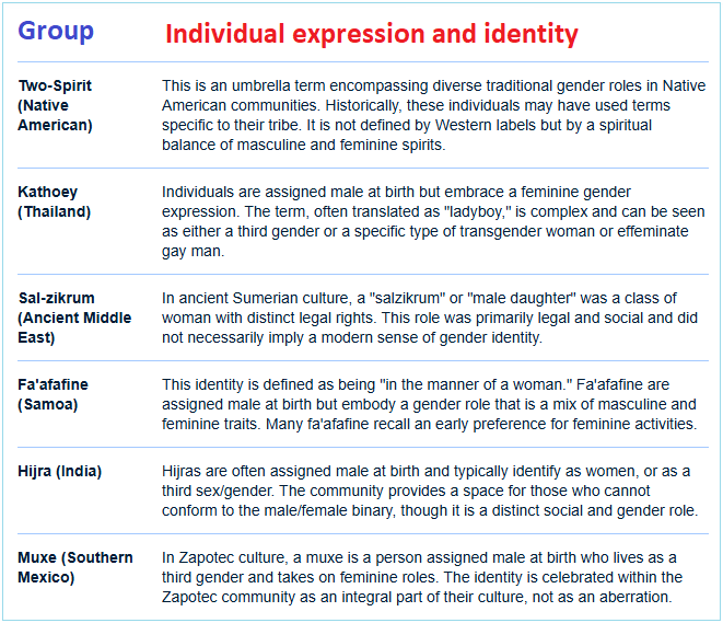 3rd gender comparison traits 3rd gender expression and identity