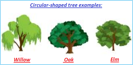 Examples of circular-shaped trees at mid-elevations.