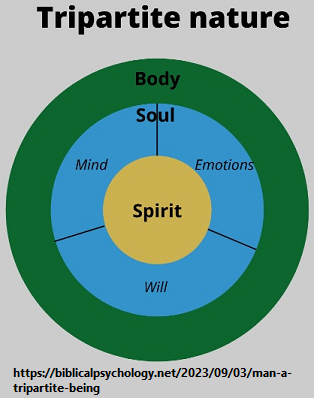 Religious perspective of a tripartite human nature Tripartite nature of man as seen through religion