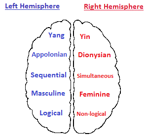 Brain hemispheres and attributes (6K)